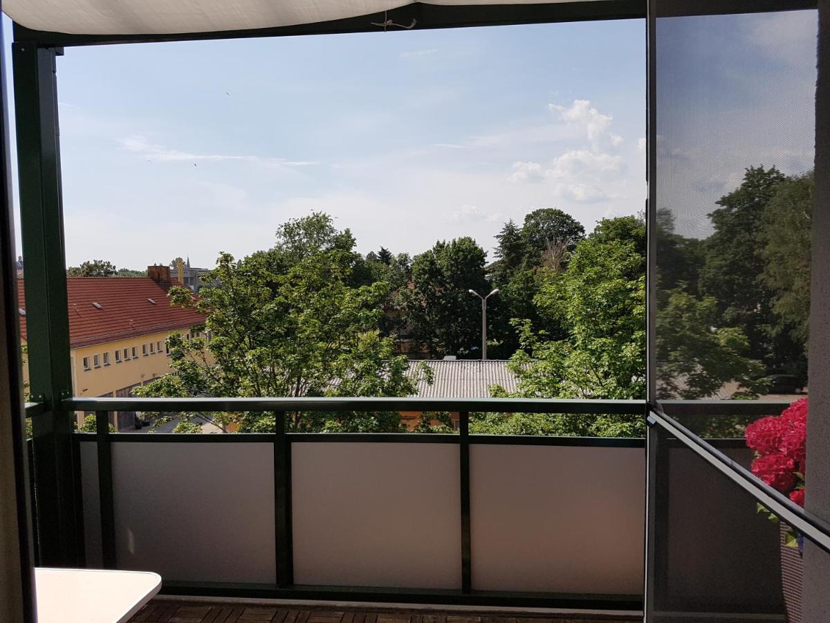 Fewo Dresden-Trachau 外观 照片